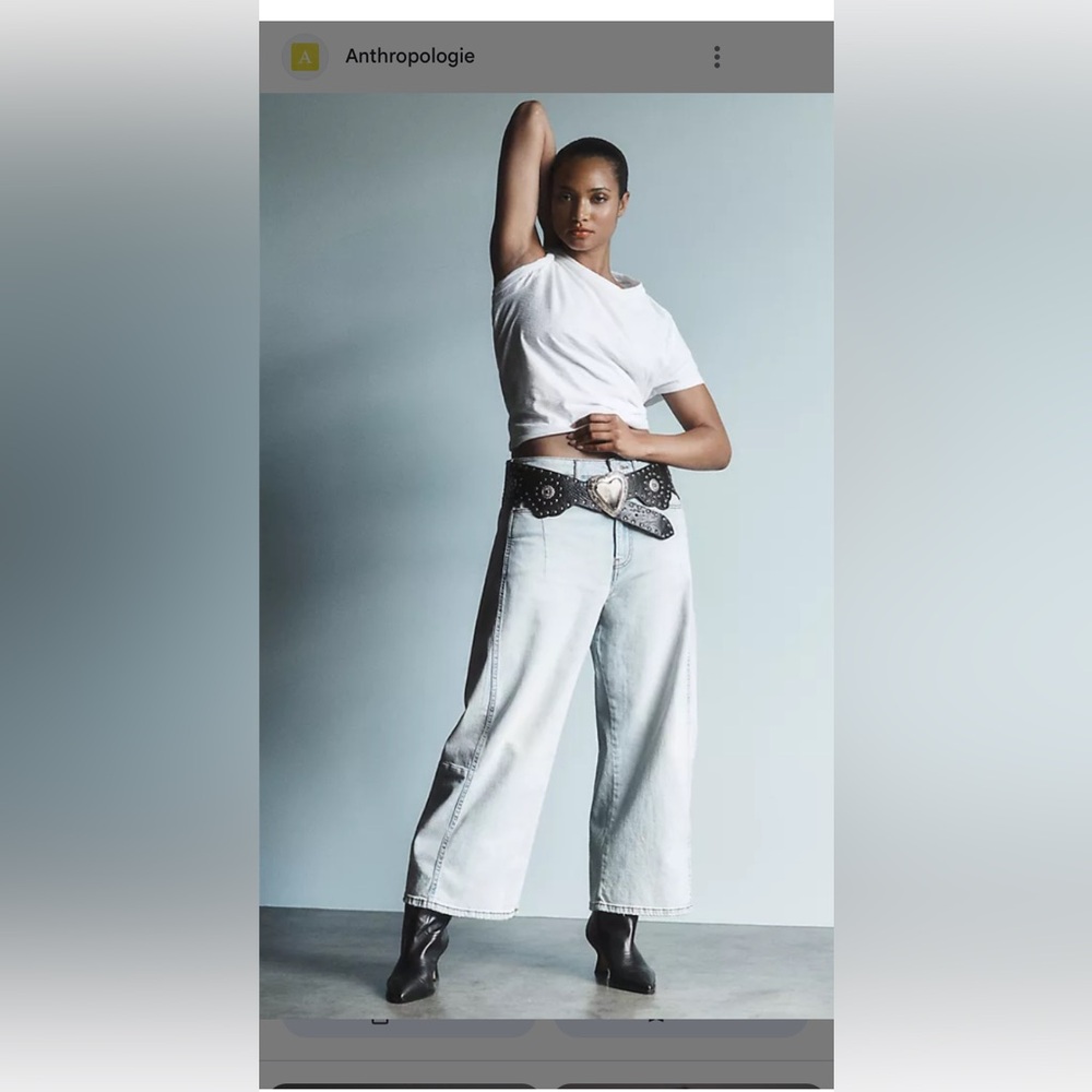 Anthropologie Pilcro Kenna Heritage Wide-Leg Barrel Jeans NWT’s 27 Blythdale